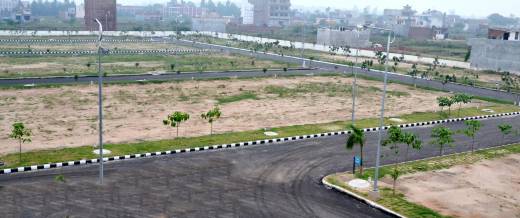 agalia Elevation Elevation