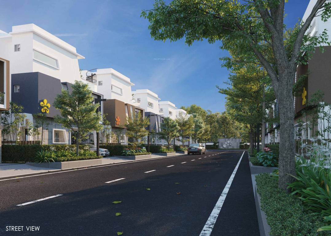  laxman county Elevation