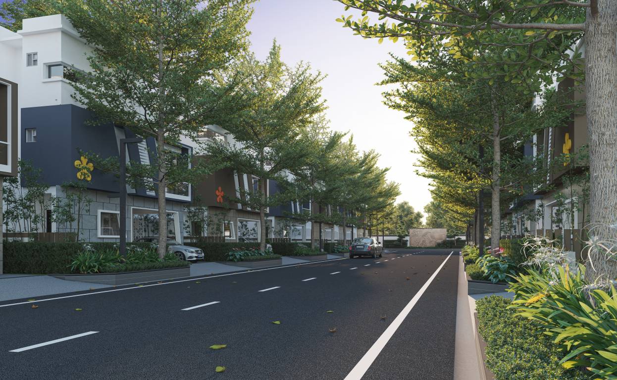  laxman county Others