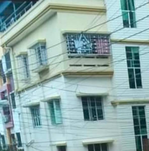  new-project Elevation