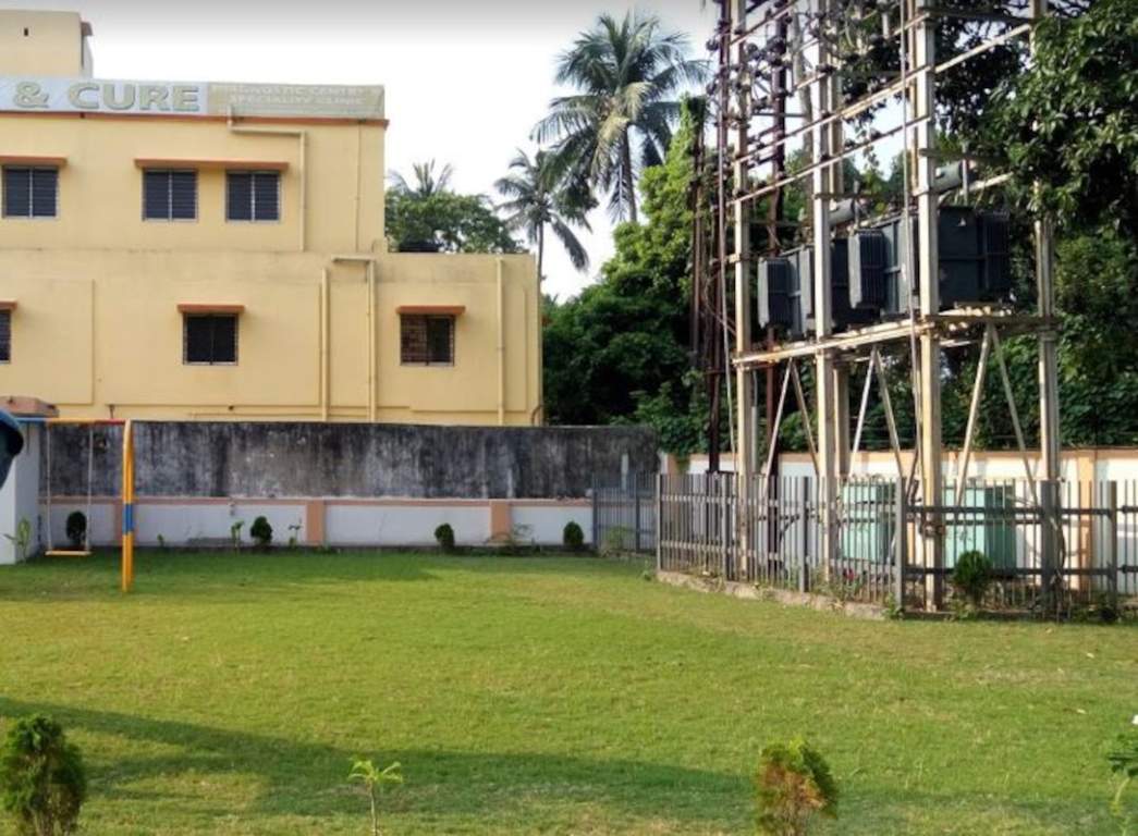  gardenia Landscape Garden and Tree Planting