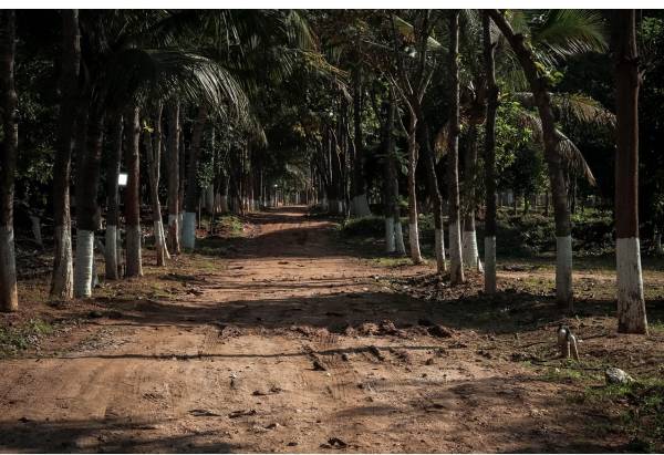  arinaa-country-farms Elevation