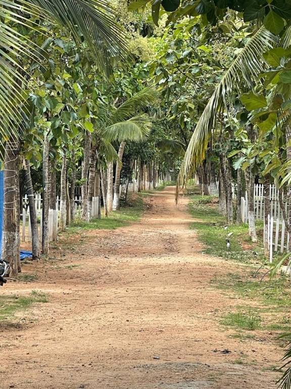  arinaa country farms Elevation