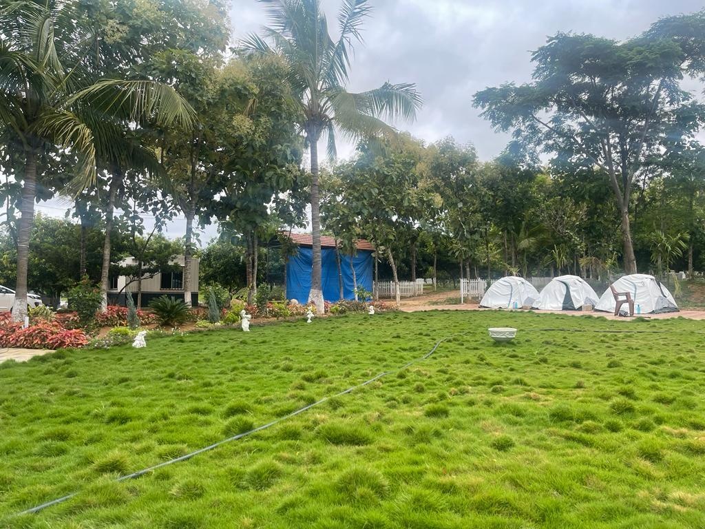  arinaa country farms Elevation