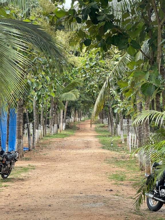  arinaa country farms Elevation