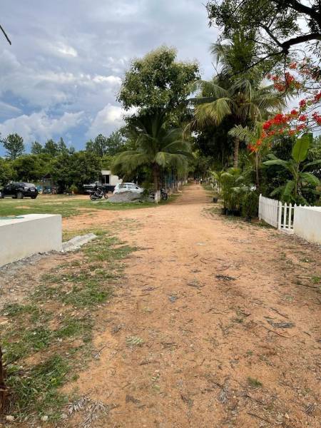  arinaa-country-farms Elevation