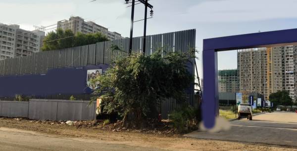  emerald-bay-building-11 Building 11 Construction Status Dec-24