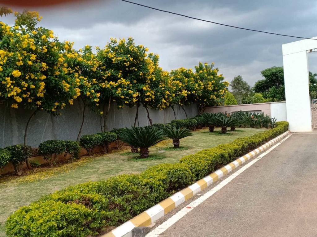  e city plan 1 Others