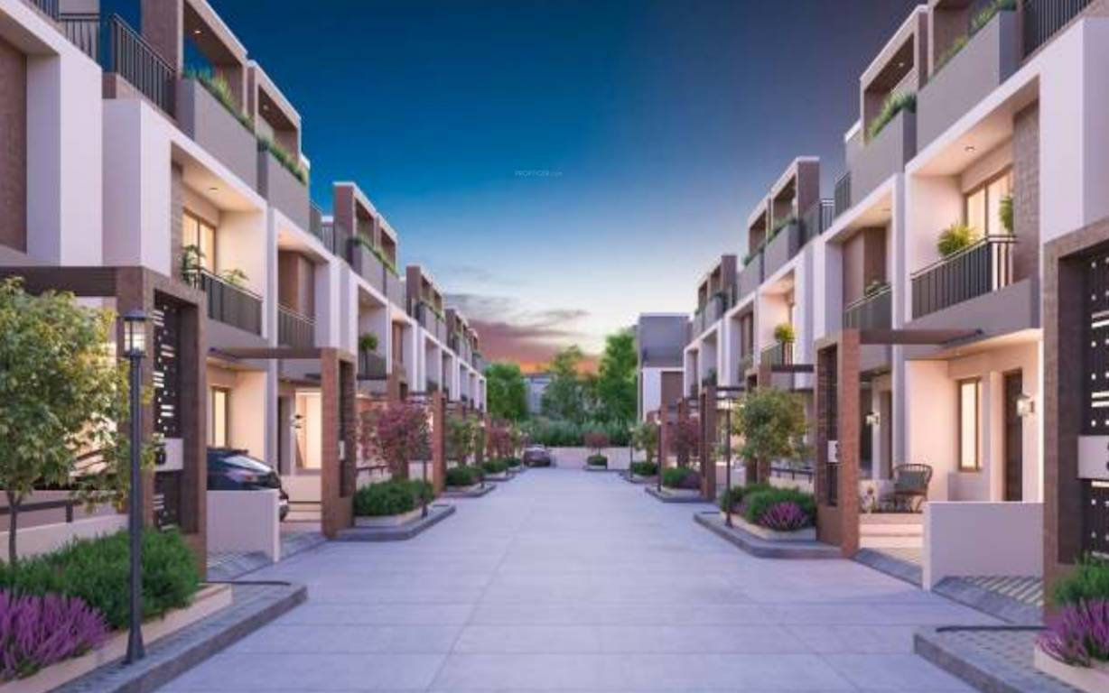  palm exotica Elevation