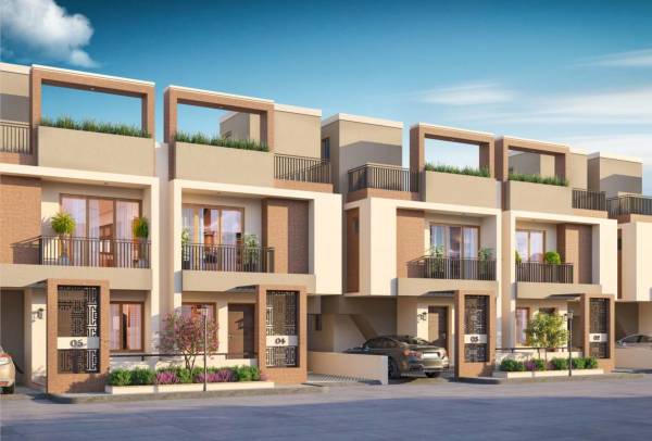  palm-exotica Elevation