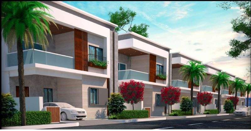  prime north meadows Elevation