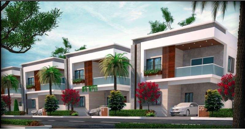  prime north meadows Elevation