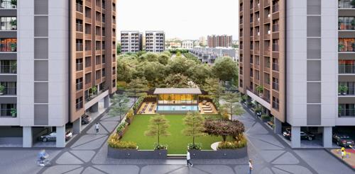  amanta Landscape Garden and Tree Planting