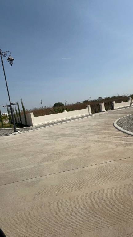  emerald nirvana Others