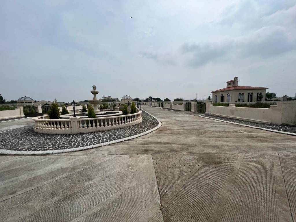  emerald nirvana Others