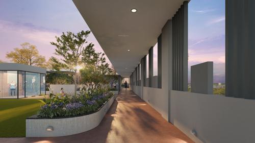  araya Landscape Garden and Tree Planting