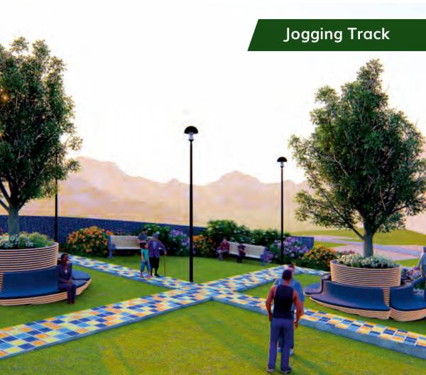  wonder-county Others