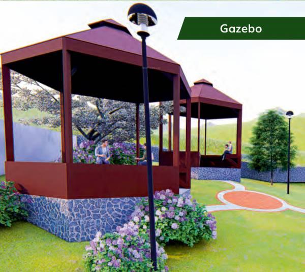  wonder-county Others