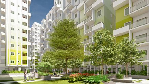  m3 Landscape Garden and Tree Planting