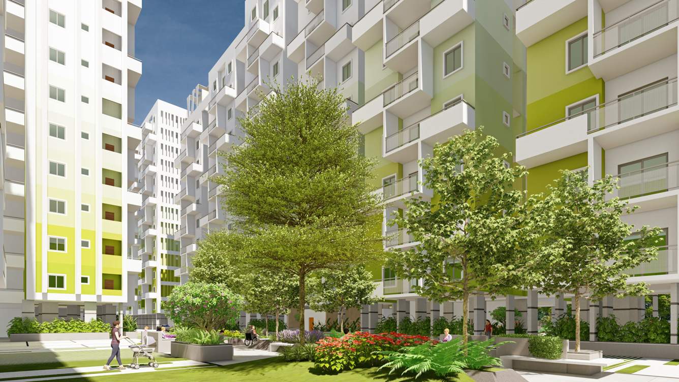  m3 Landscape Garden and Tree Planting