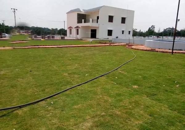  sukrithi-aarunya Plot