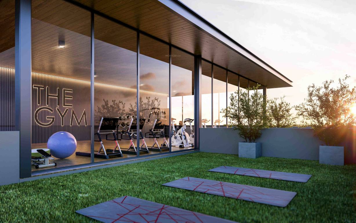 sherwoods amaltas Others