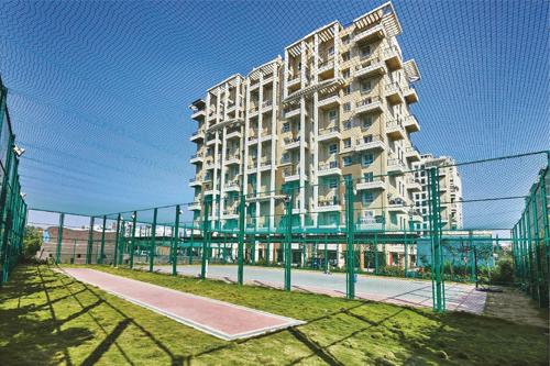  elan-west-iii Cricket Pitch