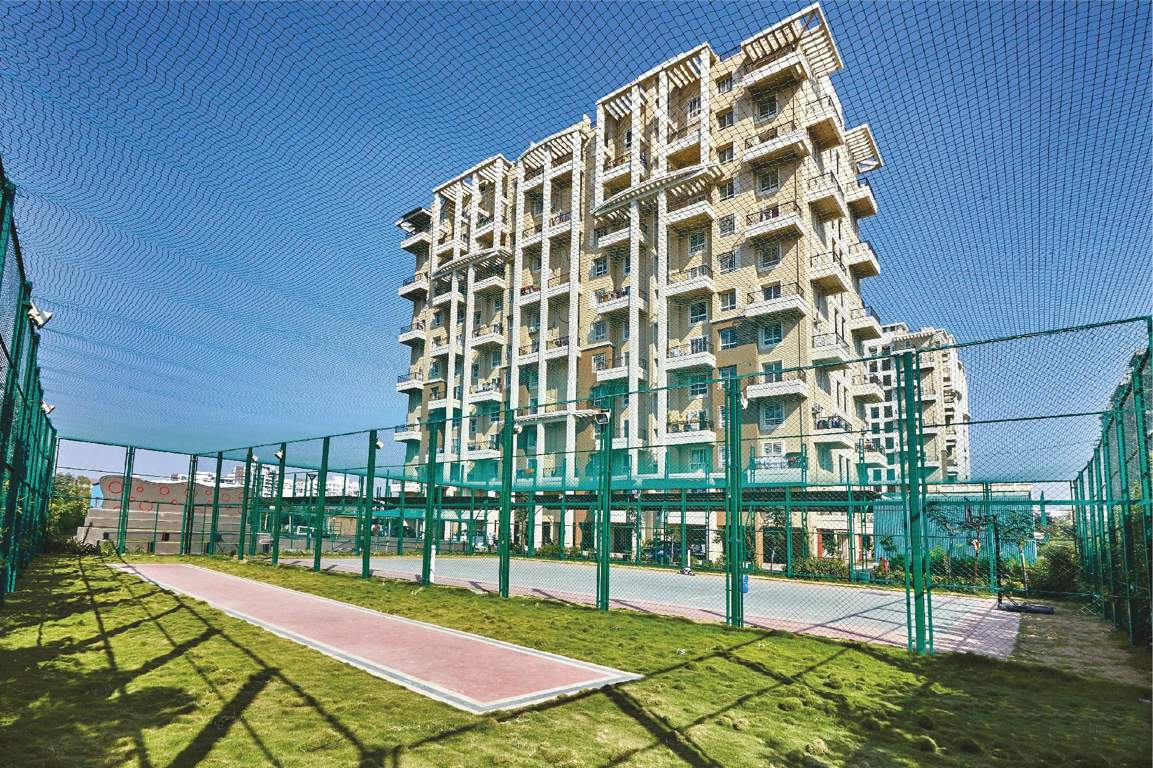  elan west iii Cricket Pitch