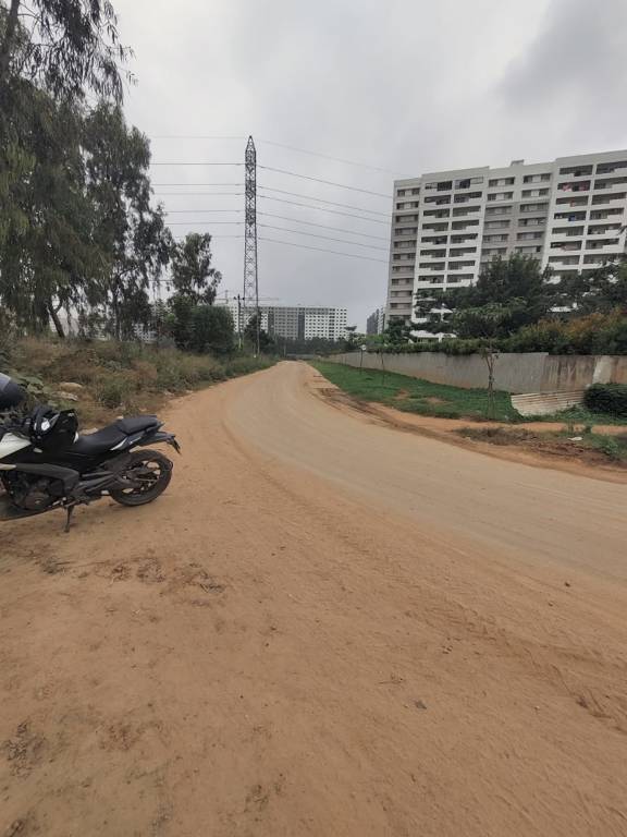  silver wood Internal Roads