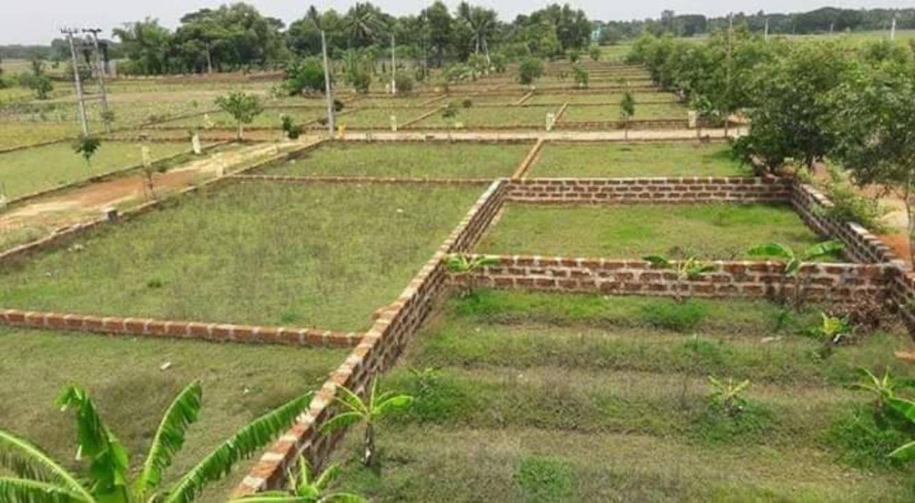  om vihar Plot