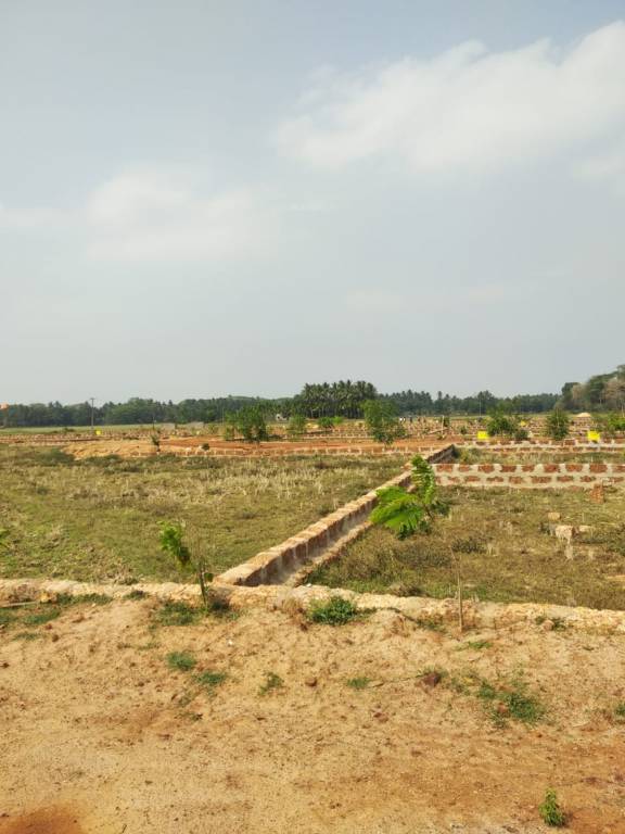  om vihar Plot