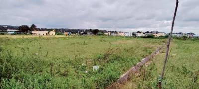  add-classic-city Elevation