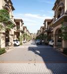 Elevation dynasty Elevation