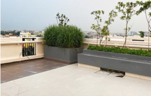  flora Landscape Garden and Tree Planting