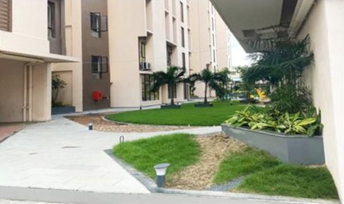  flora Landscape Garden and Tree Planting