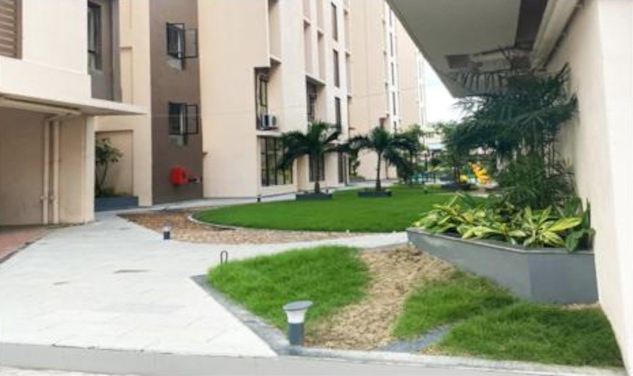  flora Landscape Garden and Tree Planting