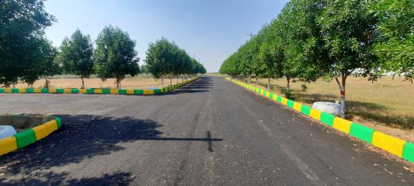  temple-city-grand Plot