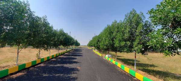  temple-city-grand Plot