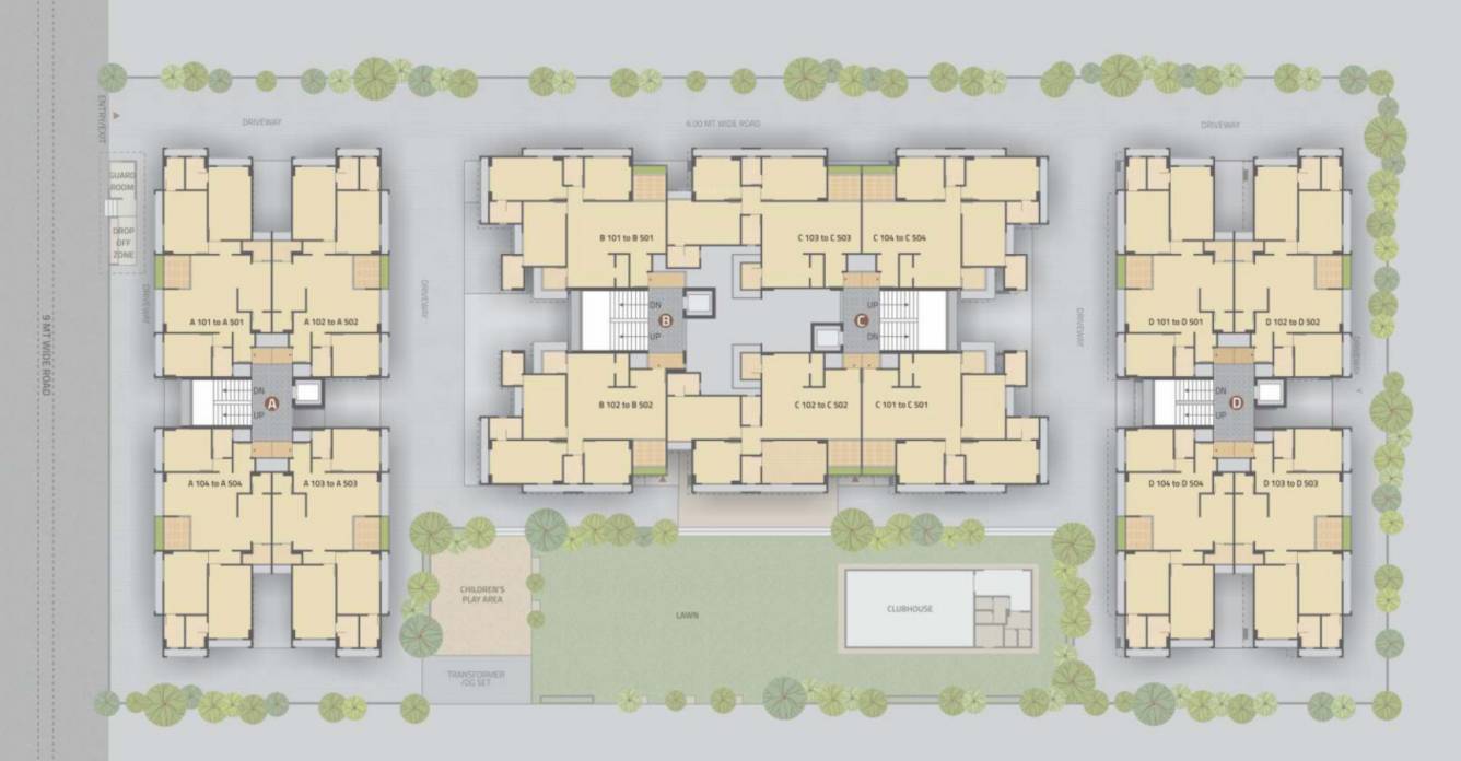  exotica A,B,C,D Cluster Plan