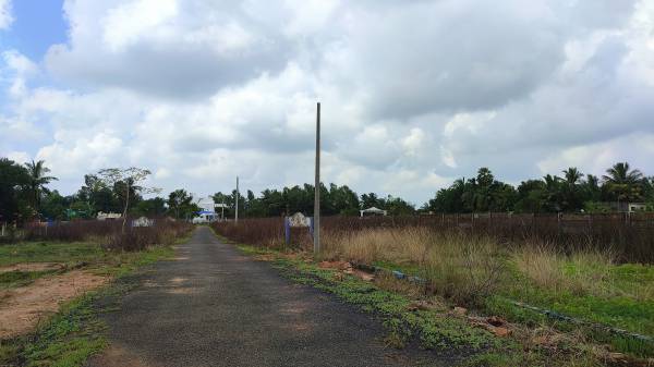  bhavatharini-nagar Internal Roads