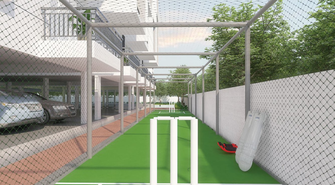  siliconshine Cricket Pitch
