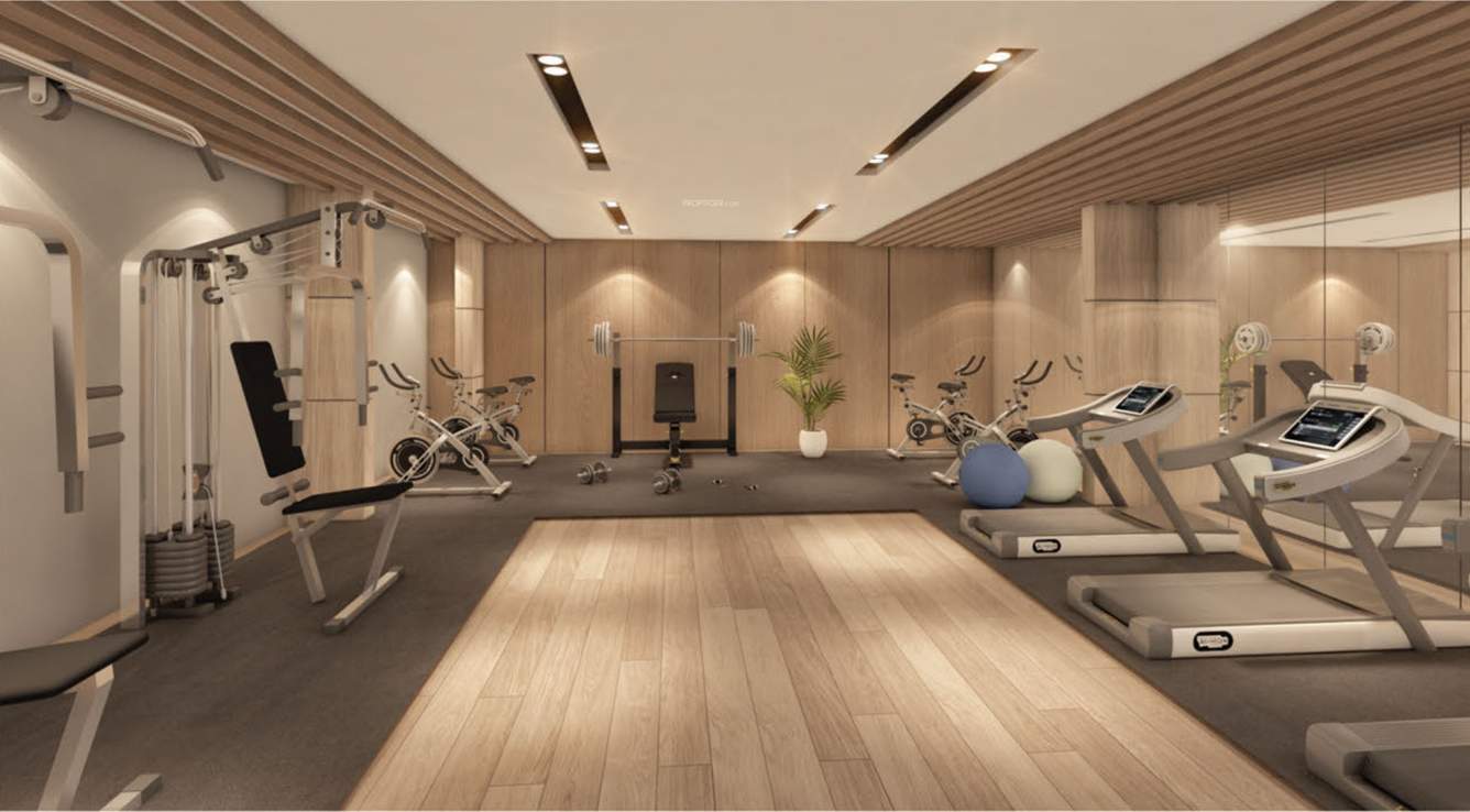  siliconshine Gymnasium