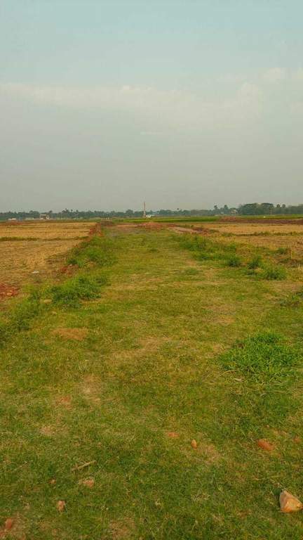  swapnabhumi  Plot