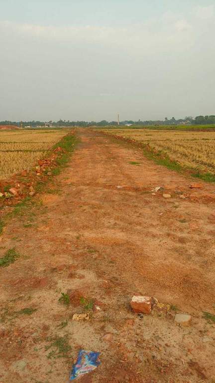  swapnabhumi  Plot