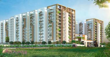Elevation nandanam Elevation
