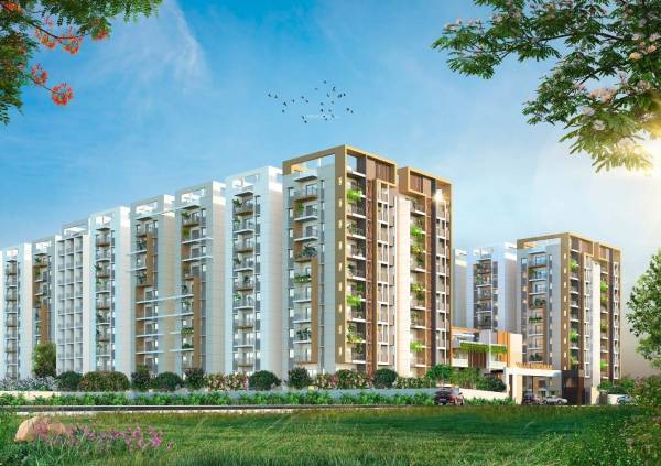 Elevation nandanam Elevation