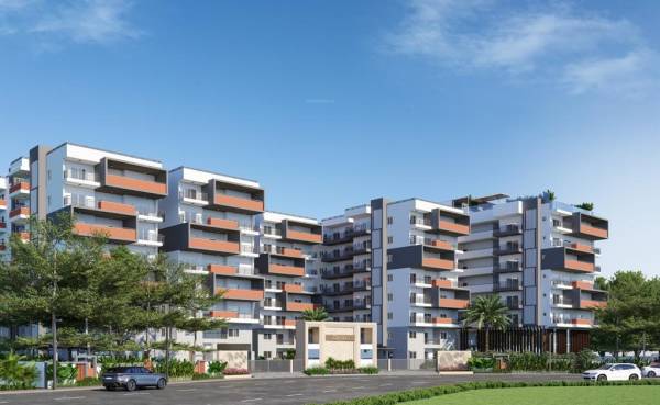 Elevation grand Elevation