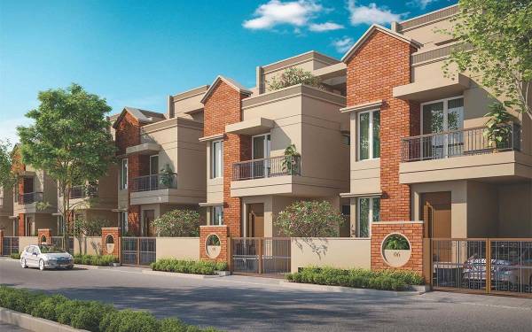  valencia-ii Elevation