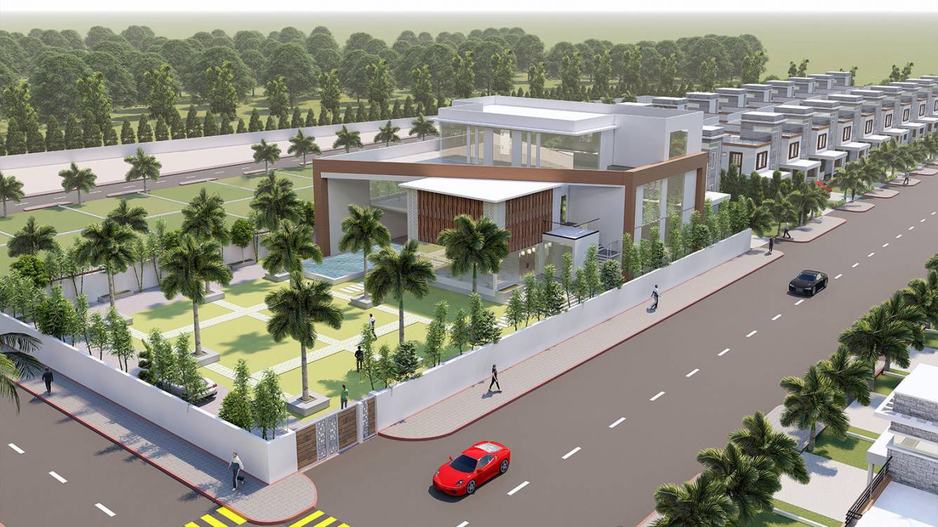 Mahaveer Silpa Bougainvillea