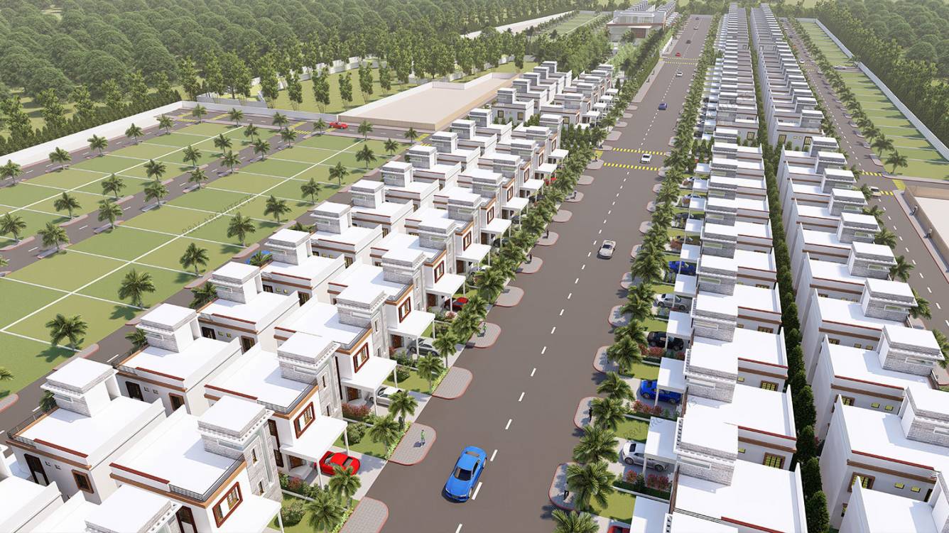 Mahaveer Silpa Bougainvillea